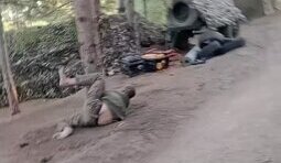 россиянина привязали к дереву