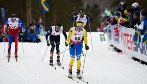 Гутцайт про зимову Олімпіаду: На велику кількість медалей не чекатимемо