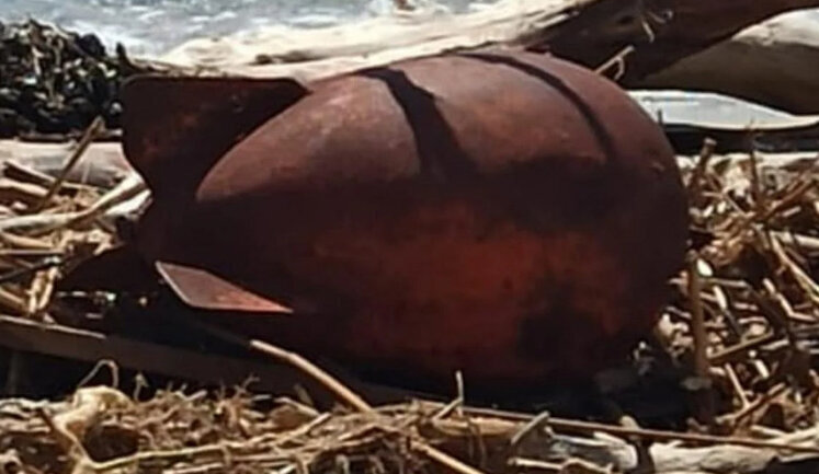Two unusual projectiles washed up on Odesa beach. PHOTOS