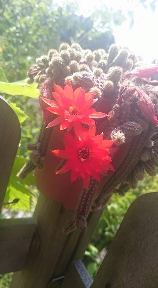 Путін приїхав в Париж і я беру його в заручники: 20 невідомих цитат Василя Сліпака 12