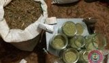 конопля марихуана