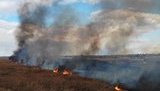 ГСЧС борется с пожарами в плавнях на Одесчине и Николаевщине. ВИДЕО+ФОТОрепортаж