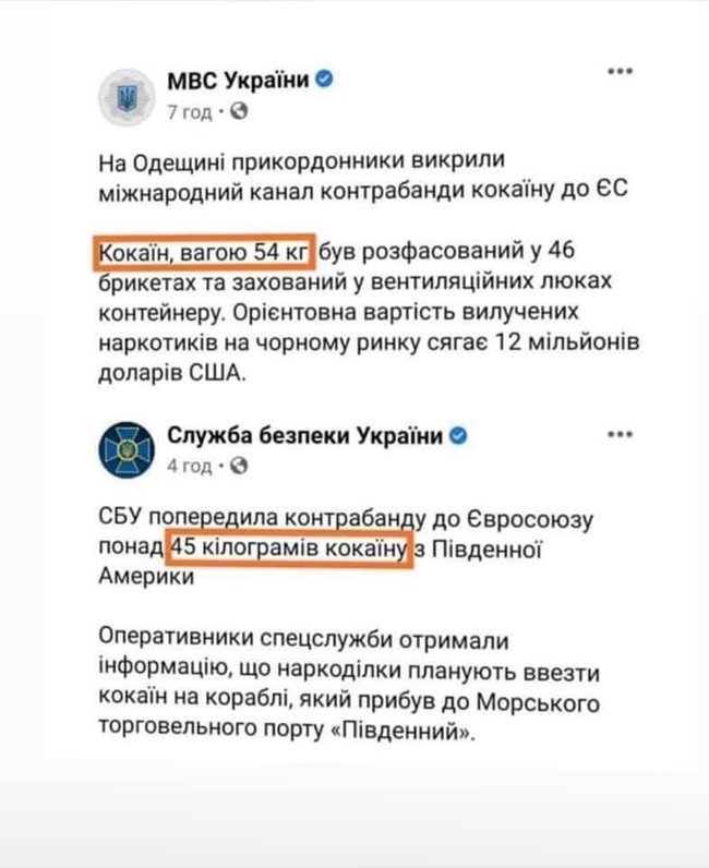 Кокаин обнаружил таможенный пес Кэп. Правоохранители приписали себе и потеряли 9 кг наркотика, - Макаренко 02