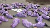 В Луцке показали Голодомор: В одну минуту умирало 17- 25 человек. ФОТОрепортаж