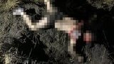 Военнослужащий НГУ ограбил и жестоко убил мужчину на Сумщине. ВИДЕО