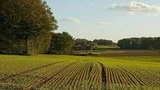 Рада приняла законопроект об электронных земельных торгах