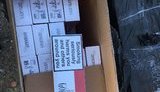 Майже 22 тис. пачок тютюнових виробів, призначених для незаконного переміщення в Румунію, вилучено в Чернівецькій області. ФОТОрепортаж
