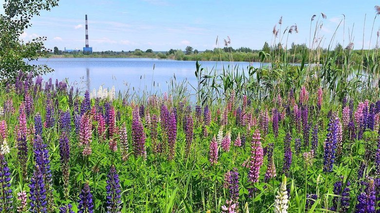 Офіс Генпрокурора захищає