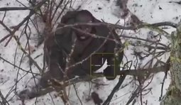 знищення найманців