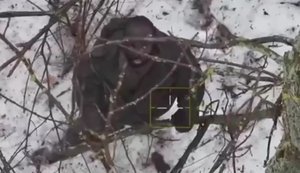 Ukrainian drones chased African mercenary of Russian army to death in tree line. VIDEO