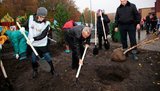 14 тысяч сотрудников компаний Ахметова вышли на улицы – сажать деревья