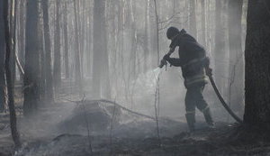 Лесных пожаров на территории Чернобыльской зоны в течение трех дней не зафиксировано, - ГАЗО