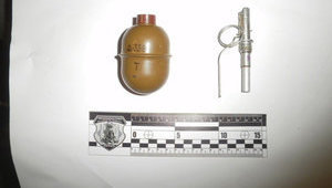 граната