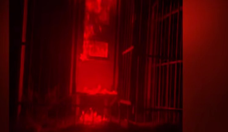 Рух опору спалив вежі зв’язку та релейну шафу в РФ — ускладнено військові перевезення, - ГУР. ВIДЕО