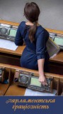 Парламентская грациозность