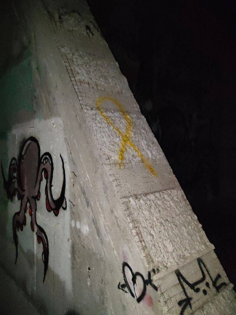 Активісти Жовтої стрічки посилюють український спротив на окупованому півострові  10
