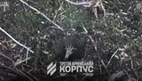 Пілоти підрозділу ударних НРК NC13 підірвали роботом бліндаж з окупантами всередині. ВIДЕО