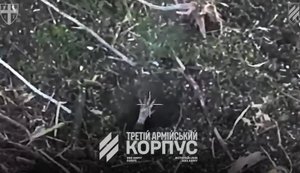 Operators of NC13 strike UGV unit blow up dugout with occupiers inside using robot. VIDEO