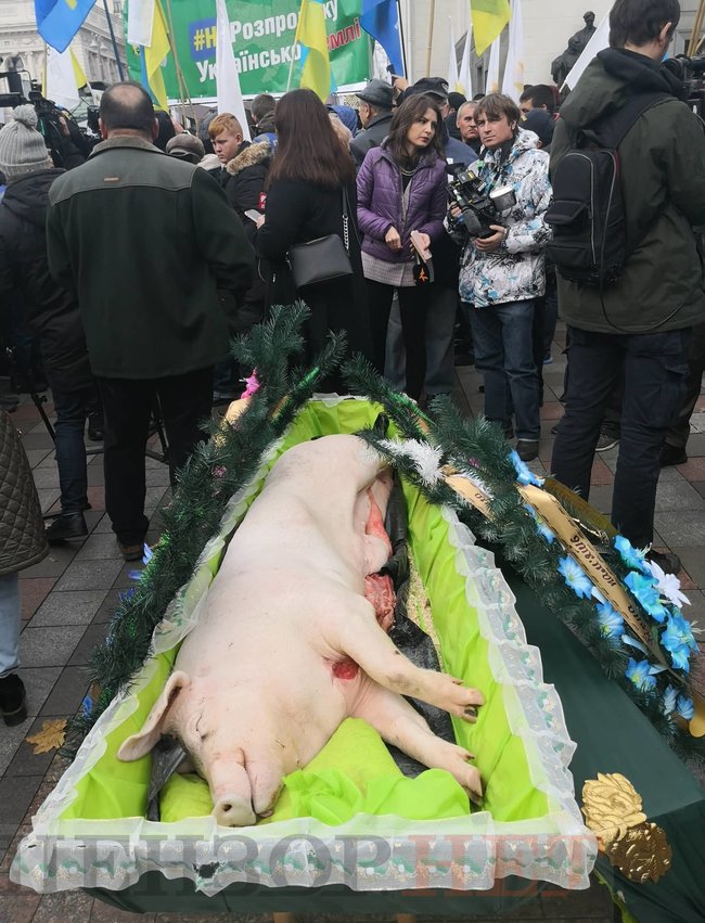 Agrarians rally against land sale in Ukraine 25