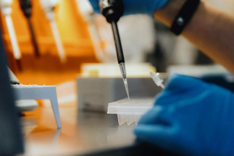 днк,експертиза