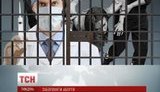 Запрет абортов. Опыт Польши: 200 тысяч "подпольных" абортов ежегодно. ВИДЕО