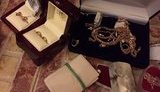 гпу задержание драгоценности pgo detention valuables
