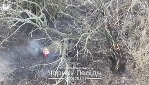 Wounded Russian soldier took his own life after being dropped from drone by fighters of 225th SAB. VIDEO