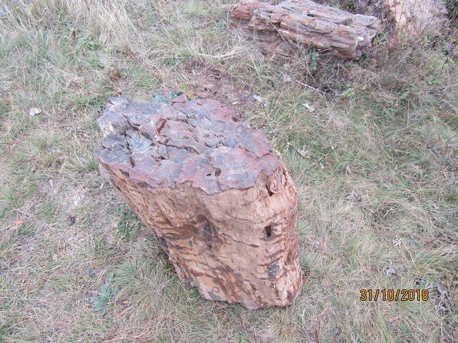 Налоговики в районе проведения ООС предупредили попытку незаконной продажи геологической достопримечательности 01 Налоговики в районе проведения ООС предупредили попытку незаконной продажи геологической достопримечательности 01