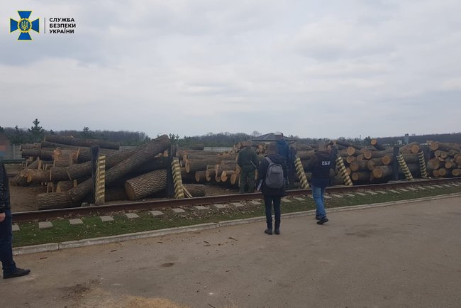 На Кіровоградщині блоковано багатомільйонну схему контрабанди деревини, організовану чиновниками Держлісагентства, - СБУ 01