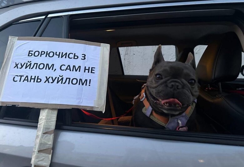 Собаки на мітингах