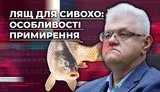 Сивохо и примирение: За что советник секретаря СНБО получил по шее. ВИДЕО
