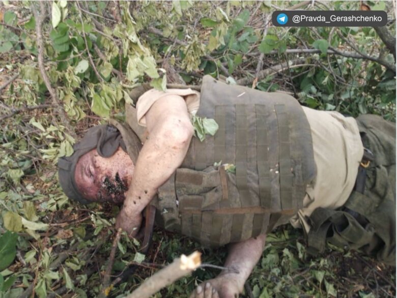 Ukrainian soldiers destroyed 12 tanks near Sviatohirsk 03