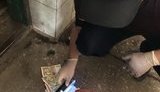 За систематичне хабарництво затримано начальника підрозділу ДСНС у Дніпропетровській області, - СБУ. ФОТО