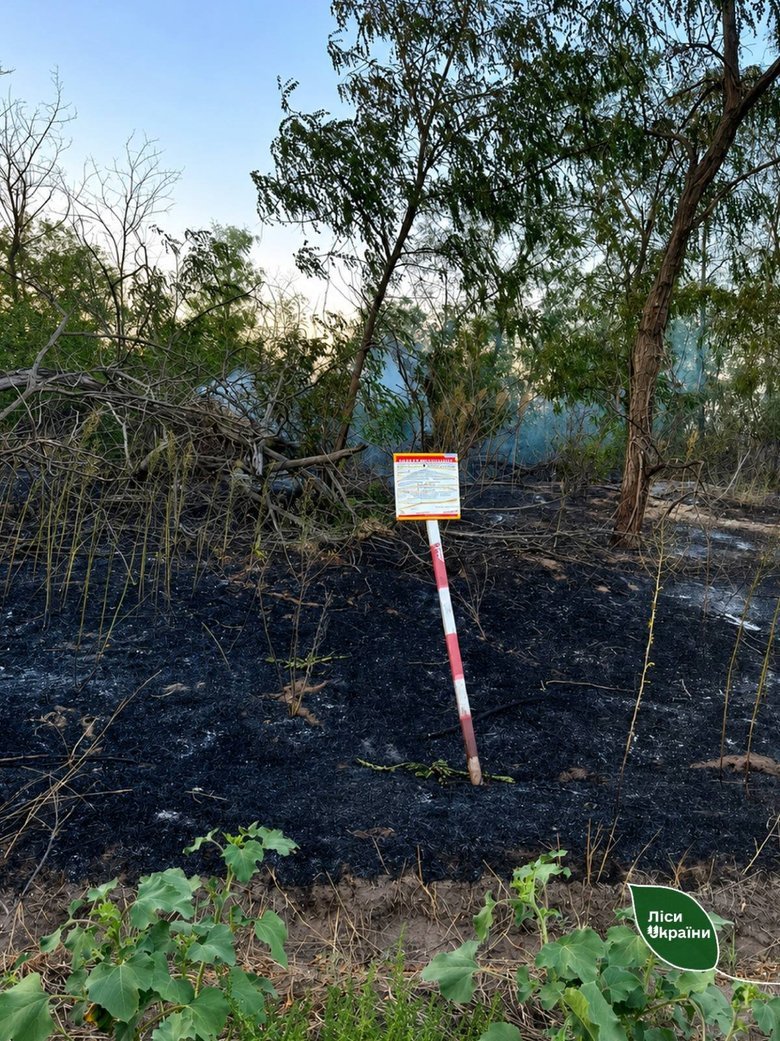 FPV-дроны РФ атаковали пожарных во время тушения лесного пожара в Херсонской области