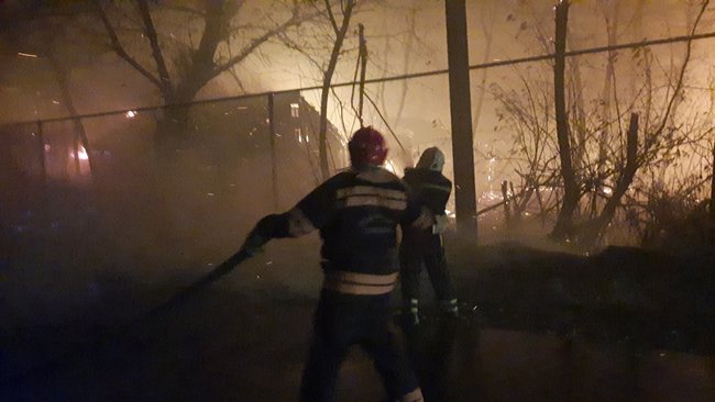 В Луганской области масштабные пожары леса, погибли 4 человека 01
