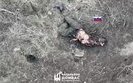 corpses of the occupiers