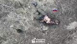 corpses of the occupiers