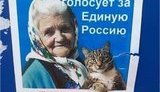 Россияне украли украинский мем про бабушку и кота. ФОТО