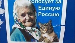 кот,баба