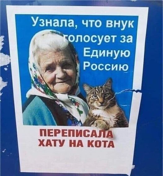 Росіяни вкрали український мем про бабусю і кота 01