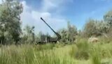 богдана