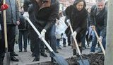 Закупкой "липовых" каштанов для Попова занимался неизвестный советник-самозванец из фирмы-призрака. ФОТО