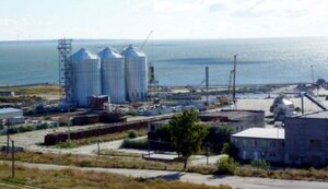 Россияне нанесли удар по Очакову. Разрушен элеватор с несколькими тысячами тонн зерна, - городской совет. ВИДЕО