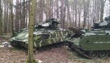 бмп,bradley
