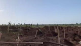 маріуполь