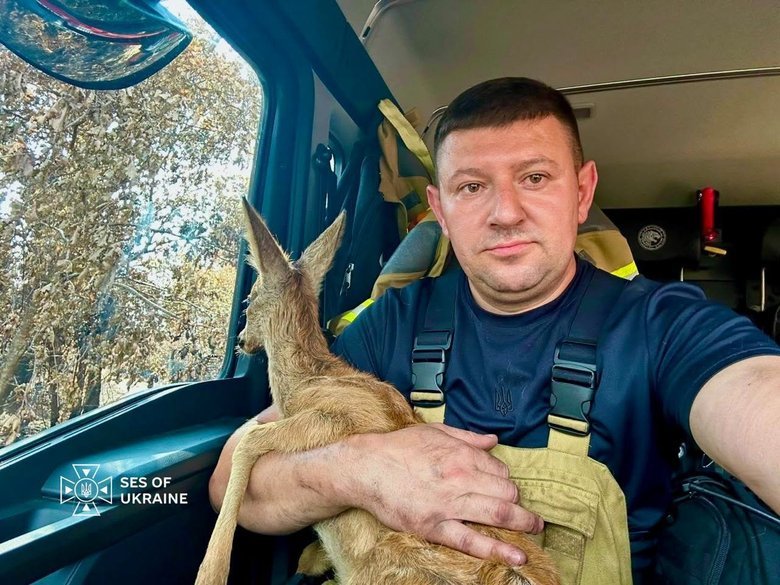 Українські надзвичайники врятували козуленя під час пожежі у Франції