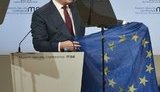 Порошенко, виступаючи на Мюнхенській конференції, продемонстрував прапор Євросоюзу, привезений з Авдіївки. ФОТО
