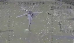 Російський Мі-28 знищили на Бєлгородщині СБС: відео ураження