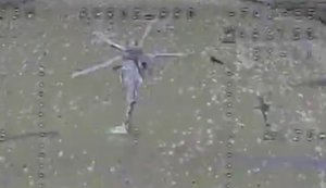 Російський Мі-28 знищили СБС у небі над Бєлгородською областю РФ, - Мадяр. ВIДЕО