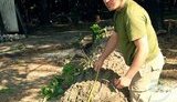 Избили противников вырубки Харьковского парка: "Били дубинками по лицу". ФОТОрепортаж